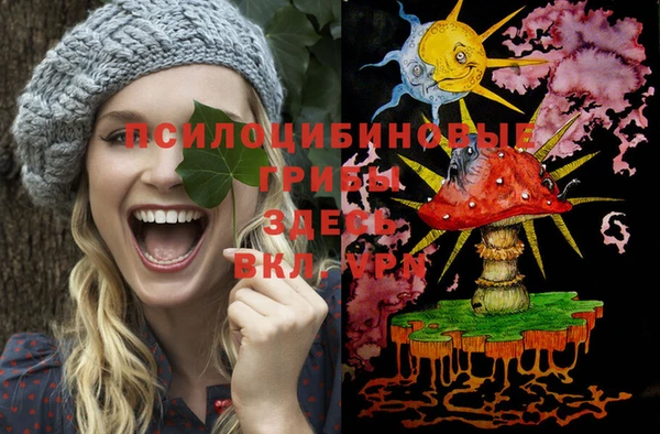 твердый Новозыбков