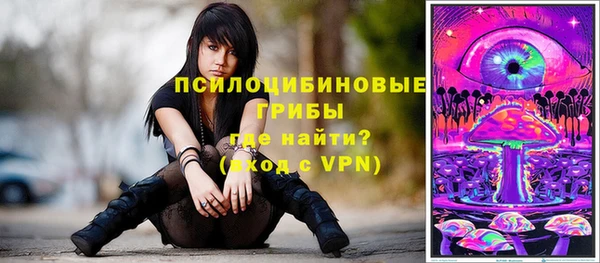 не бодяженный Няндома